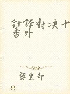 针锋对决十周年番外