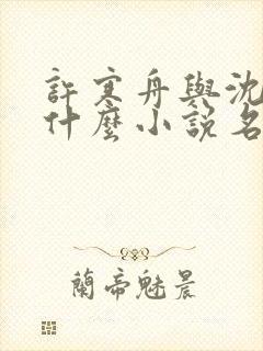 许寒舟与沈渊是什么小说名字