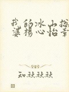 我的冰山总裁老婆杨心怡章节