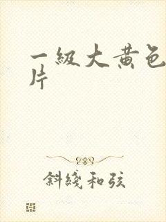 一级大黄色录像片