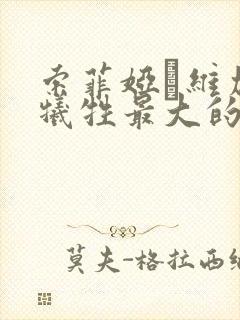 索菲娅·维加拉牺牲最大的一部电影