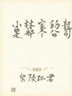 小林家的龙女仆是哪个公司的?