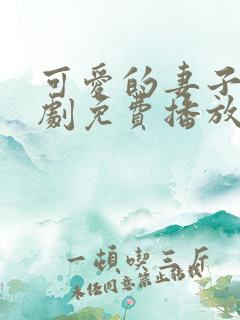 可爱的妻子电视剧免费播放