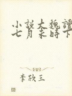 小说大魏读书人七月未时下装电子书