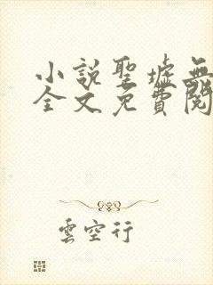 小说圣墟无弹窗全文免费阅读