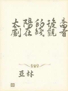 太阳的后裔电视剧在线观看免费