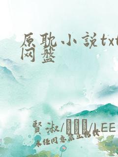 原耽小说txt网盘