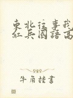 东北往事我叫赵红兵国语高清在线观看