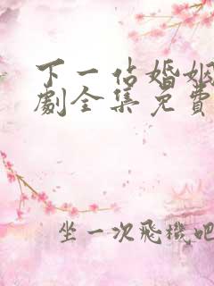 下一站婚姻电视剧全集免费观看高清