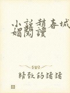 小说赵春城与苏媚阅读