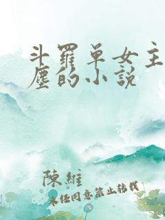 斗罗单女主梦红尘的小说