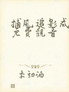 捕风追影成龙版免费观看