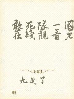 敢死队一国语版在线观看免费