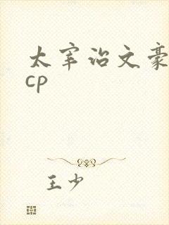 太宰治文豪野犬cp