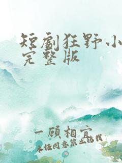 短剧狂野小神医完整版