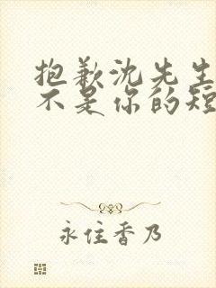 抱歉沈先生孩子不是你的短剧免费观看全集