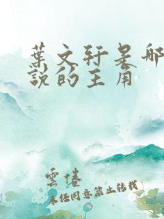 叶文轩是哪本小说的主角