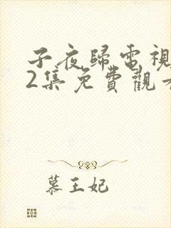 子夜归电视剧32集免费观看