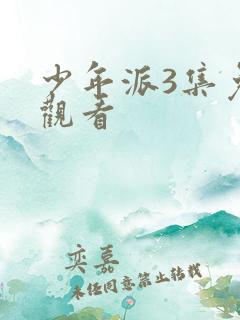 少年派3集免费观看