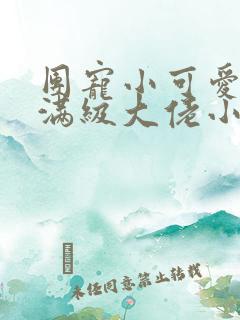 团宠小可爱成了满级大佬小说txt