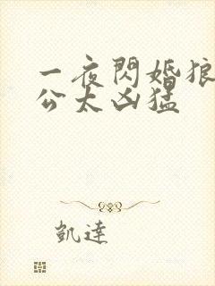 一夜闪婚狼性老公太凶猛