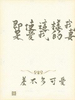 即使这样我也还是爱我的妻子动漫