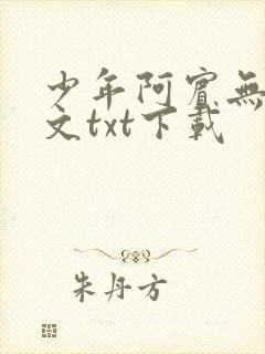 少年阿宾无删全文txt下载
