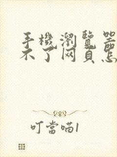 手机浏览器打开不了网页怎么办