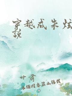 穿越成朱炫的小说