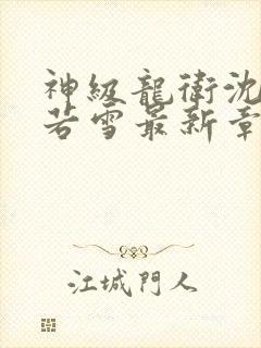 神级龙卫沈浪苏若雪最新章节