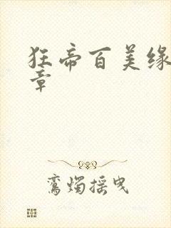 狂帝百美缘第十章