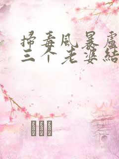 扫毒风暴卢少华三个老婆结局