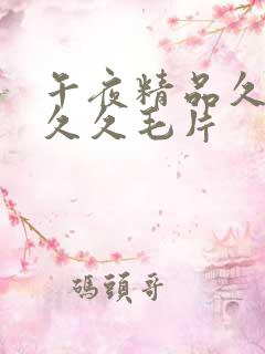 午夜精品久久久久久毛片