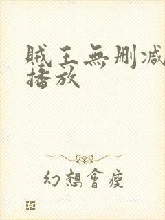 贼王无删减在线播放