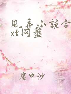 风弄小说合集txt网盘