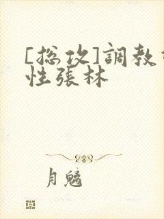 [总攻]调教双性张林