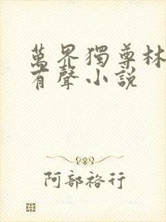 万界独尊林枫林有声小说