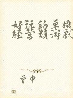 好玩的单机模拟经营类游戏