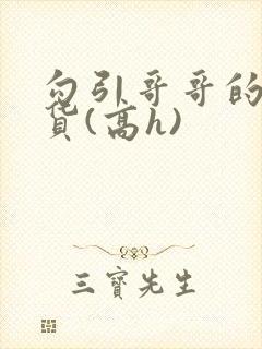 勾引哥哥的小骚货(高h)