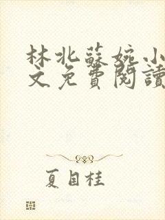 林北苏婉小说全文免费阅读最新章节