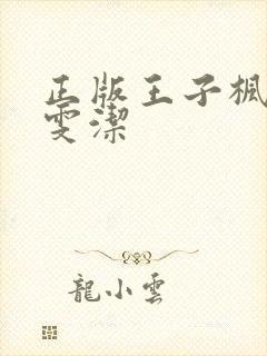 正版王子枫和袁雯洁