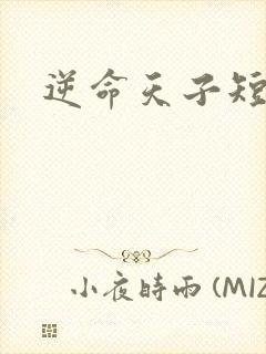 逆命天子短剧