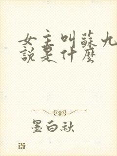 女主叫苏九的小说是什么