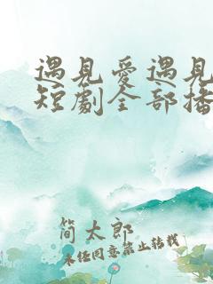 遇见爱遇见幸福短剧全部播放