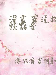 漫画 霸道总裁轻点爱