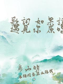 歌词 如果让我遇见你 原唱