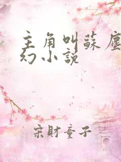 主角叫苏尘的玄幻小说