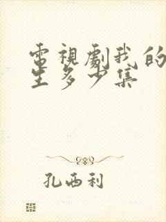 电视剧我的后半生多少集