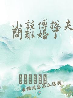 小说傅总夫人又闹离婚了