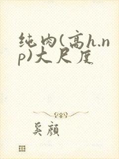 纯肉(高h.np)大尺度